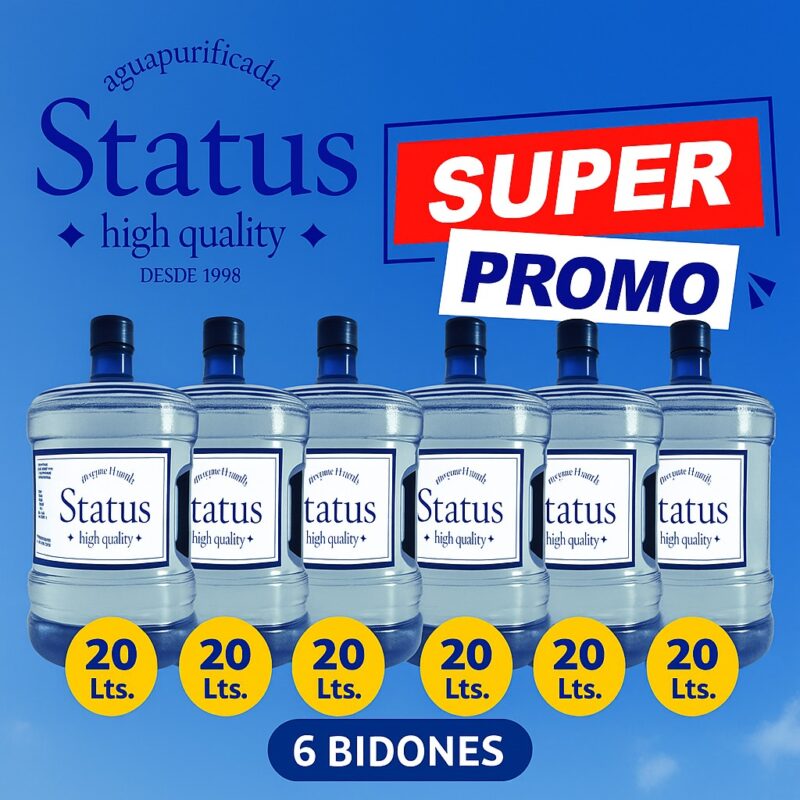 6 Bidones 20 L